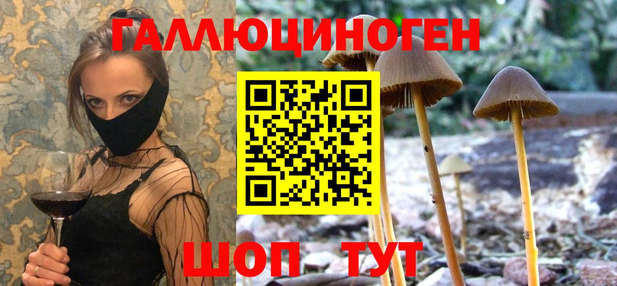 Галлюциногенные грибы прущие грибы Вольск