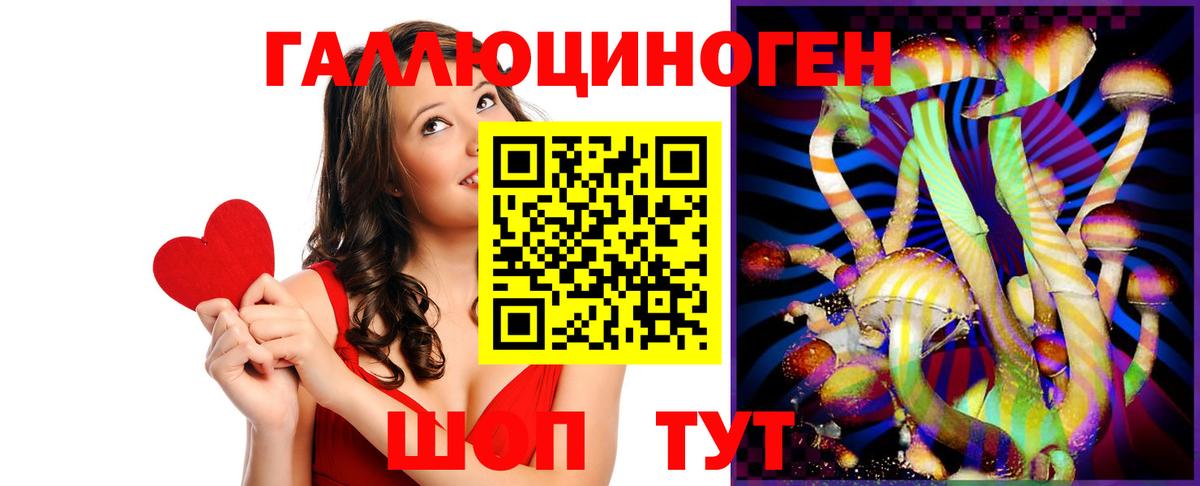 Псилоцибиновые грибы Cubensis  цены   Вольск  Вход с VPN 
