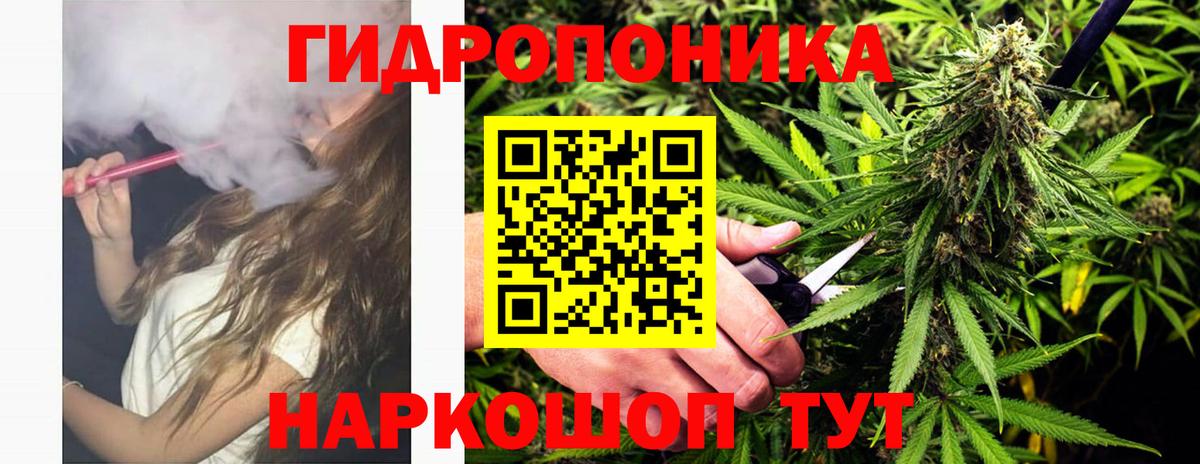 Марихуана конопля  Вход с VPN  Вольск  Каннабис Bruce Banner  Бошки Шишки OG Kush 